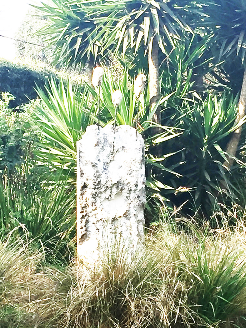A weathered concrete pillar among garden plants